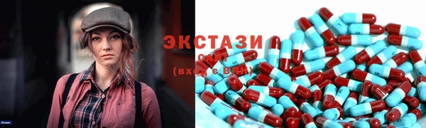 стаф Богданович