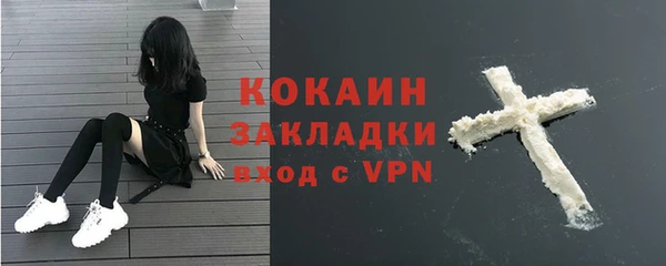 гашик Бородино
