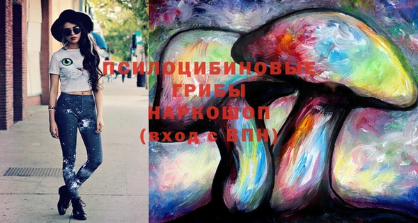 гашик Бородино
