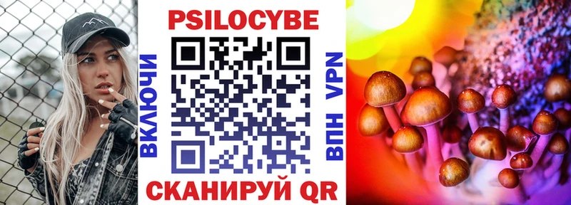 где можно купить   Гремячинск  Галлюциногенные грибы MAGIC MUSHROOMS 
